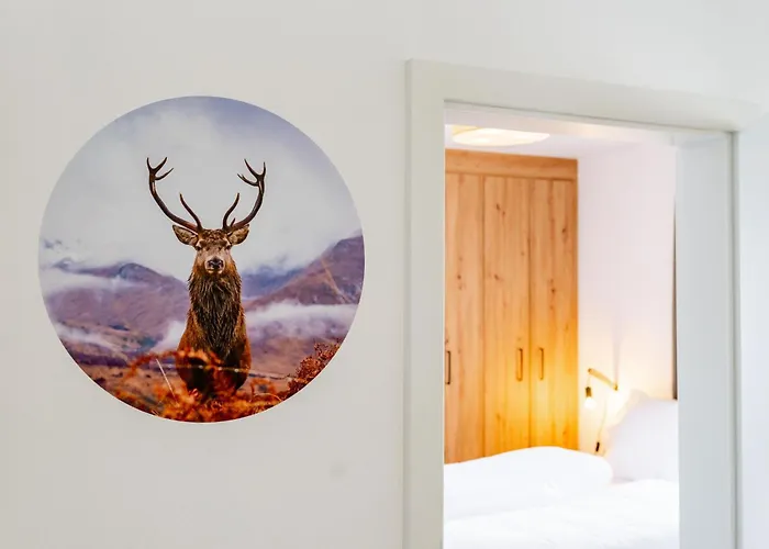 Falken 5 Appartement *